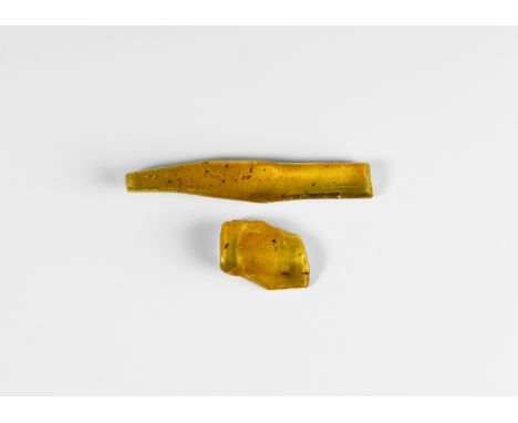 Oligocene Period, 45 million years BP. A pair of copal pieces comprising: an icicle-shaped piece containing flies and other i