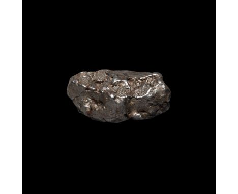Fell 5000-6000 years BP. A nickel-iron Campo del Cielo meteorite (IAB) found in 1576 in the Chaco Province of Argentina.   29