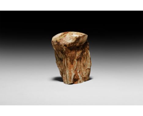 Triassic Period, 230 million years BP. A free-standing section of fossilised wood with a polished top edge.   784 grams, 11.6