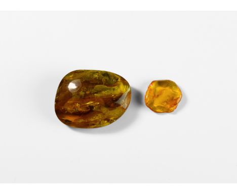 Oligocene Period, 45 million years BP. A pair of polished Russian amber pieces comprising: a large piece with an insect and o