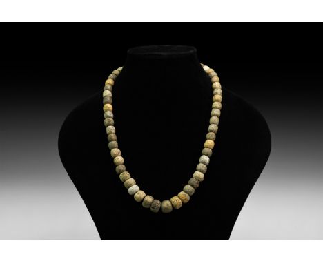 Late Miocene Period, 23-16 million years BP. A restrung stegomastodon bone bead string.   126 grams, 60cm (23 1/2"). From an 