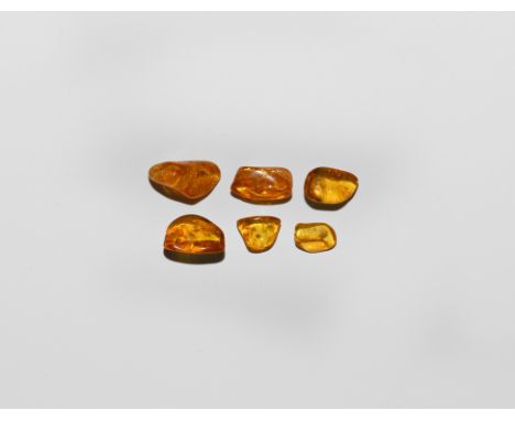Oligocene Period, 45 million years BP. A group of six pieces of Baltic amber, all containing flies, mainly fungus gnats and o