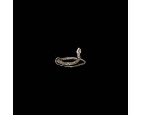 1st-2nd century AD. A silver round-section ring formed as coiled snake with erect head, the tail wrapped around its body, pun