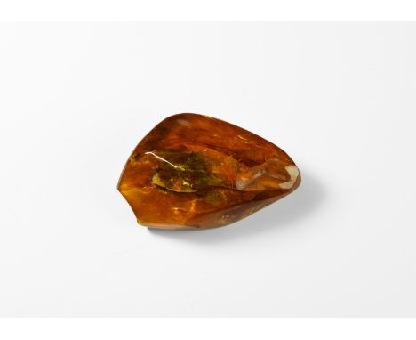 Carboniferous Period, 360-299 million years BP. A large irregular piece of polished amber with an insect and other inclusions
