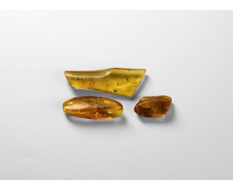 Oligocene Period, 45 million years BP. A group of three amber pieces comprising: an icicle-shaped piece containing flies, ant