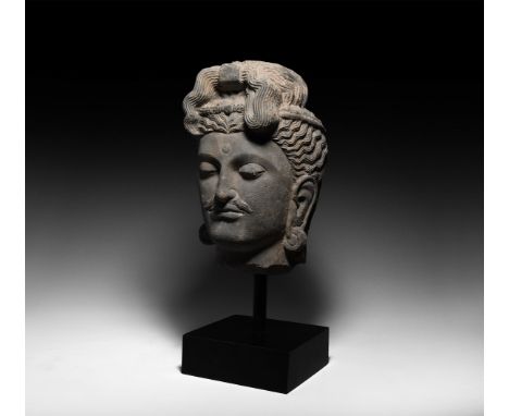 3rd century AD. A carved life-size schist head of Buddha with hair in spirals and curls, gathered at the brow; urna on the fo