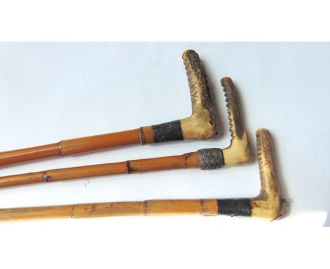 A trio of vintage bamboo riding crops, all with worked antler handles, each with white metal collars