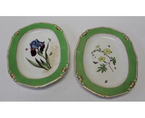 A pair of early nineteenth century Bloor Derby porcelain hand-painted and titled botanical dishes on green grounds, c. 1825. 
