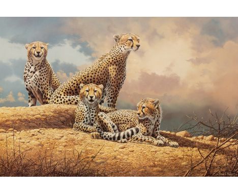 Adrian C Rigby (born 1962)/Cheetah at Rest/limited edition numbered 51/495/print, 45cm x 66cm CONDITION REPORT: ARR Artist's 