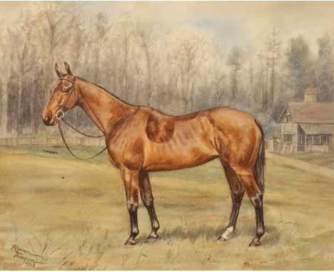 Algernon Thompson (1880-1944)/Portrait of a Racehorse 'Antoinette'/signed and dated 1928/watercolour, 20cm x 24cm/Douglas Hoo
