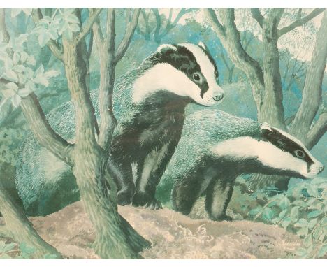 C F Tunnicliffe (1901-1979)/Badger in Woodland/signed in pencil and numbered 331/500/published by the Tryon Gallery/colour pr
