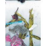 Dan Colen (1979 New Jersey – lebt in New York)