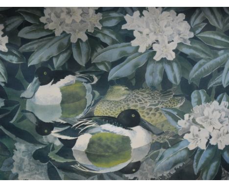 After Charles Tunnicliffe, Three ducks, signed proof colour print, 37 x 49cm, and another Ducks and Magnolia, [2]