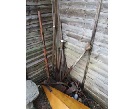 Collection of garden tools