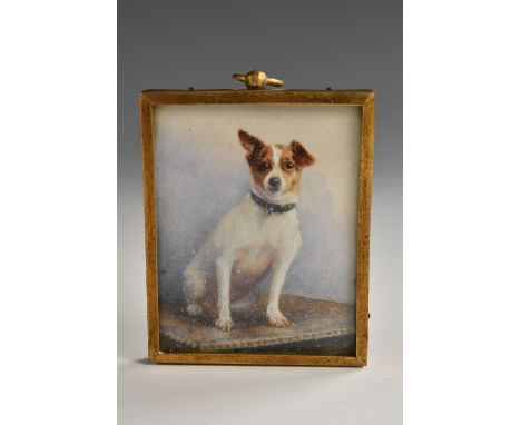 English School (early 20th century), a canine portrait miniature, of a Jack Russell, inscribed to verso Miss J Douglas Graham