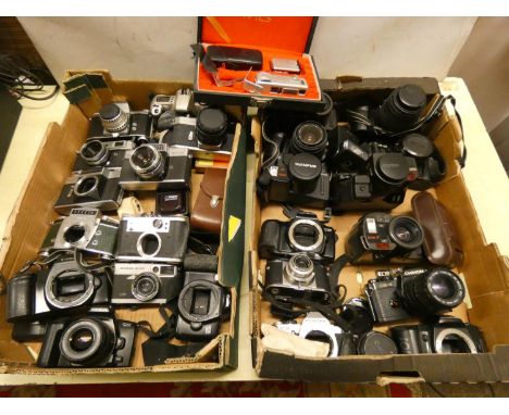 A large quantity of cameras and camera bodies, to include, Exakta 'varex II', Yashica TL-Super, Minolta 303 SI, Mamiya auto-l