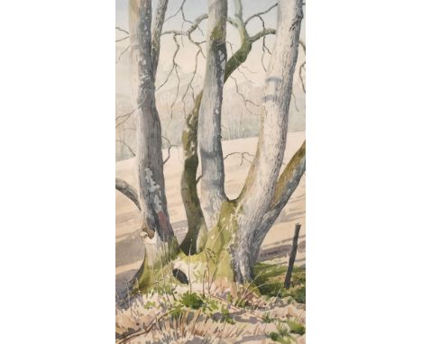 John Robinson, 'Old Coppiced Ash Trunk' watercolour, signed and with label verso, 13" x 7" (33 x 17 cm).