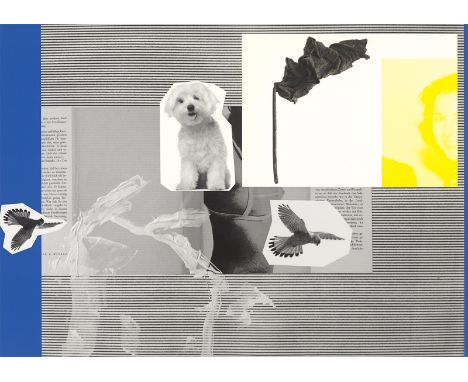 Rosemarie Trockel (Schwerte 1952 – lebt in Köln und Berlin). „The Medium is the Message“. 2014Ditone-Print auf Velin.  50&nbs