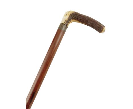 A late Victorian horse measuring stick walking cane by Callow & Son, with an antler handle, above a boxwood measure with a br