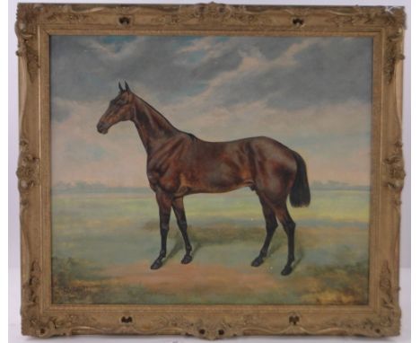Colin Wyndham Lewis,oil on canvas, portrait of a horse, signed and dated '70, 25" x 30", framed.