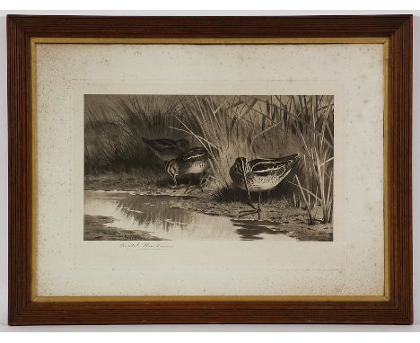 ARCHIBALD THORBURN (SCOTTISH 1860 - 1935), 
THREE SNIPE FEEDING and COVEY OF GREY PARTRIDGE RESTING
each lithograph on paper,