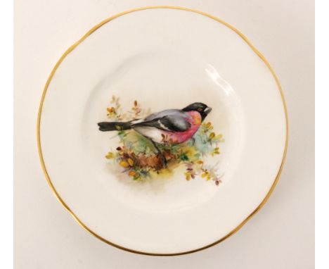 A small early 20th Century Royal Worcester plate decorated with a hand painted bullfinch perched on a branch, unsigned but at