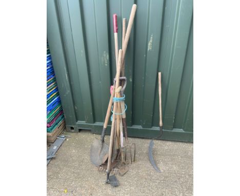 Quantity of Garden Tools 