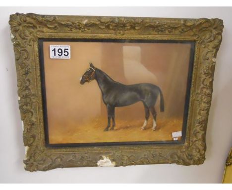 Oil portrait - Horse