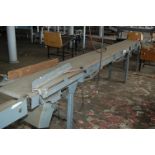 Erico Motorized Exit Conveyor, 12 in. Wide Belt x 20 ft. Length, Single Phase Motor