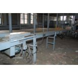 Erico Motorized Exit Belt Conveyor, 12 in. Wide Belt x 20 ft. Length, Single Phase Motor