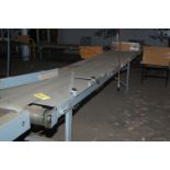 Motorized Exit Conveyor, 12 in. Wide Belt x 20 ft. Length, Single Phase Motor