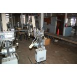 Streamfeeder Model #S1750 Friction Feeder, Adjustable Size 18 in. Wide x 12 in. Length Max., 1/4