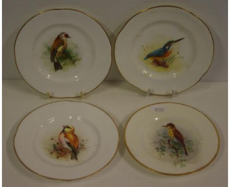 Four Royal Worcester hand painted plates birds including Gold Finch, Kingfisher and Thrush, 13 cm diameter (largest)