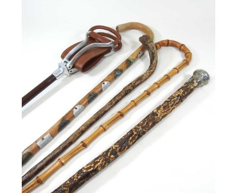 A shooting stick, together with a collection of various walking sticks (5)