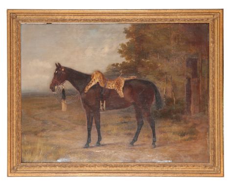 ANTHONY DE BREE (1856-1921) A portrait of a thoroughbred in a landscapedated 1889 and signed lower right, oil on canvas, 67.5