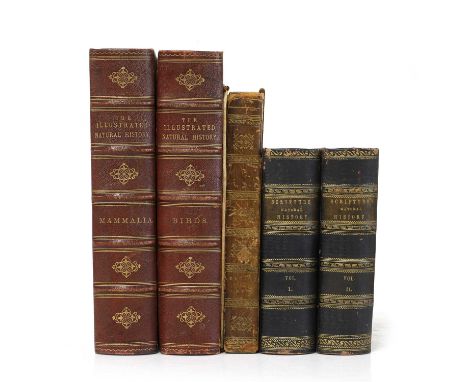 Bicknell, W. I: The Natural History of the Sacred Scriptures, and Guide to General Zoology, Two Vols. L, John Talis, no date,