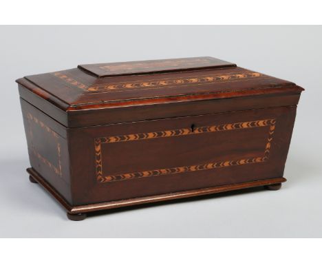A large 19th century yew wood three section tea caddy of sarcophagus form, feather banded and strung and raised on squat bun 