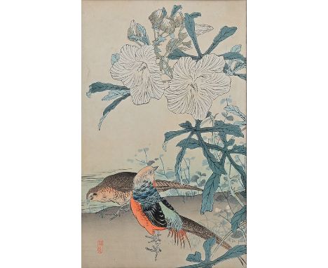 Kono Bairei. 1844-1895 JapanGoldfasane und Hibiskus. Farbholzschnitt, aus dem Album "Bairei's Album of Flowers and Birds" (Ba