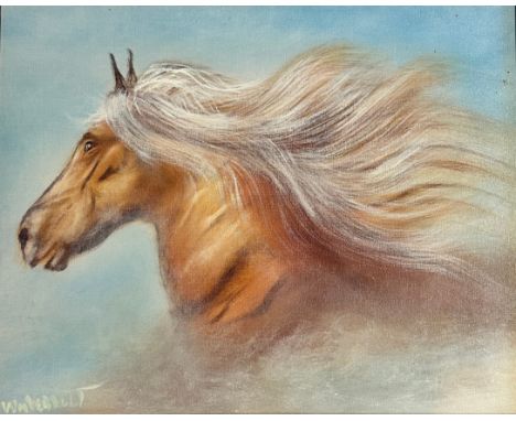 William Joseph Verdult (Dutch, 1939-2016), Horse portrait, Oil on canvas, Signed to lower left, Framed, 38cm x 49cm, frame me