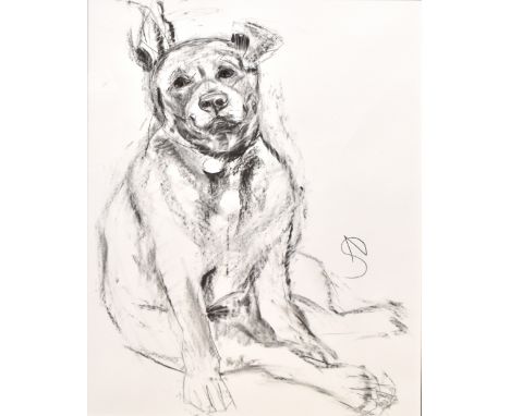 APRIL SHEPHERD; pencil on paper, ‘Dog Portrait III’, signed left, 76 x 50cm, framed and glazed. (D)Additional InformationThis