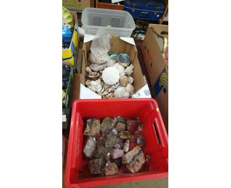 Assorted shells etc. in three boxes