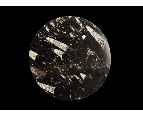 Middle Ordovician Period, 400 million years BP. A flat disc with one polished face, with exposed fossil specimens of orthocer