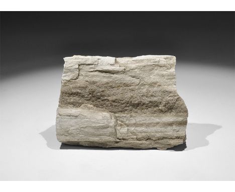 Carboniferous Period, 350 million years BP. A specimen of fossil coniferous wood exhibiting some ring structure on broken sur