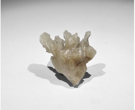 . A radiating group of baryte crystals, in old white card tray, from the Gregory, Bottley, and Lloyd collection.   James Reyn