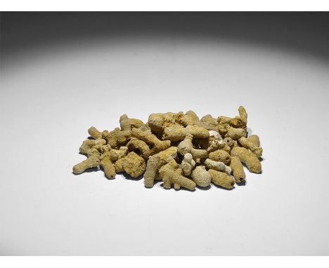 Miocene Period, 20 million years BP. A group of 50 fossil coral branches, in old white card tray, from the Gregory, Bottley, 