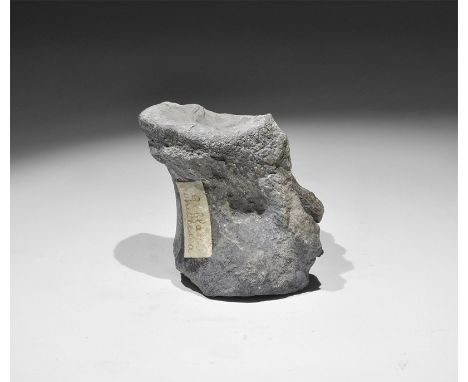 Jurassic Period, 160 million years BP. The vertebra of an extinct crocodile, with old Gregory, Bottley and Lloyd label readin