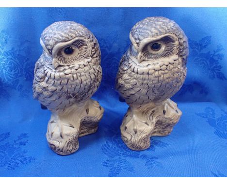 TWO POOLE POTTERY OWLS BY BARBARA LINLEY-ADAMS (signed) each 18cm high