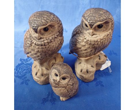 THREE POOLE POTTERY OWLS BY BARBARA LINLEY-ADAMS two 18cm high and one 9cm (larger is signed)