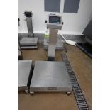 Doran Bench Scale