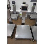 Doran Bench Scale
